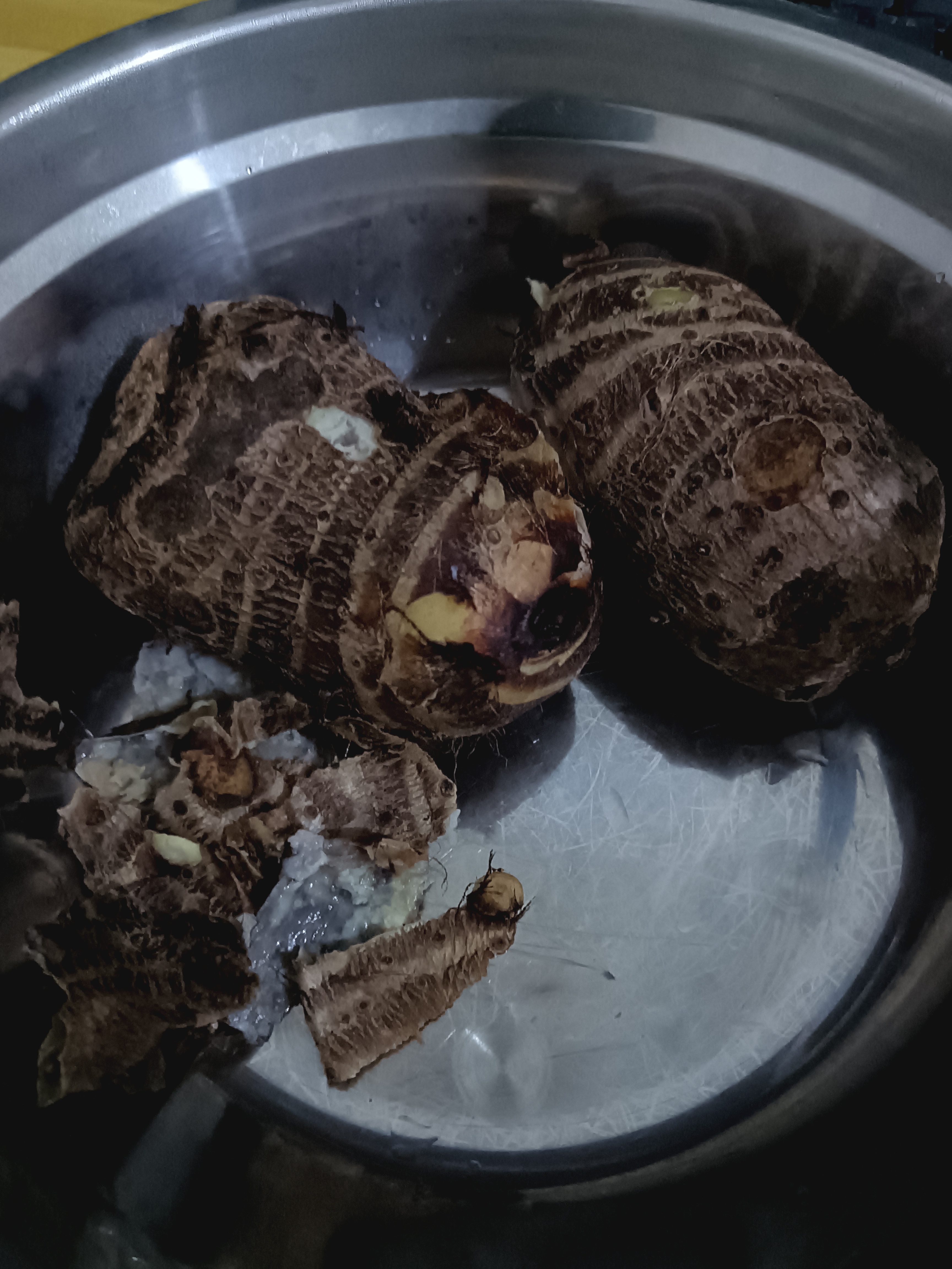 IMG_20231012_070330~2