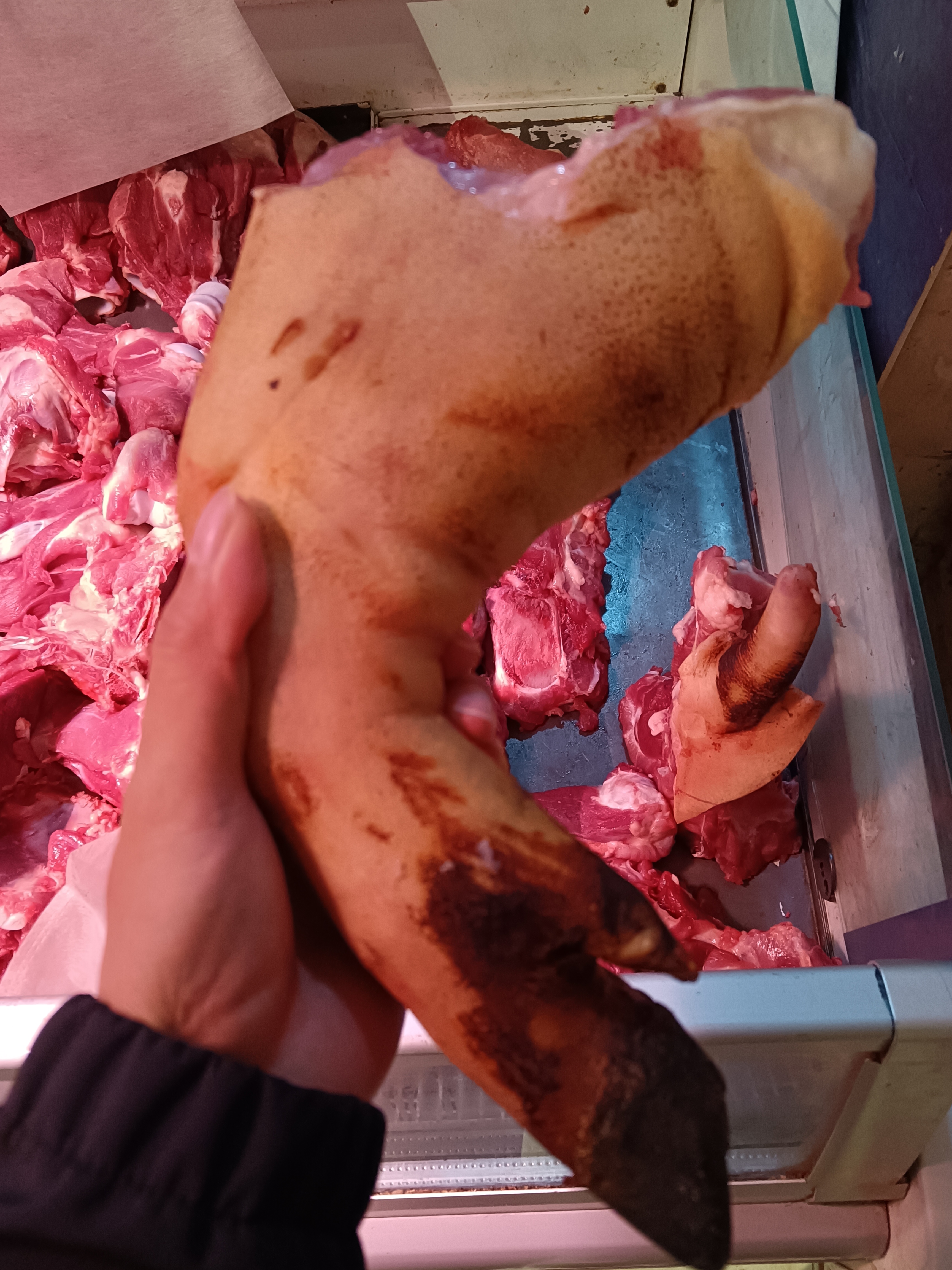 IMG_20231223_092015~2