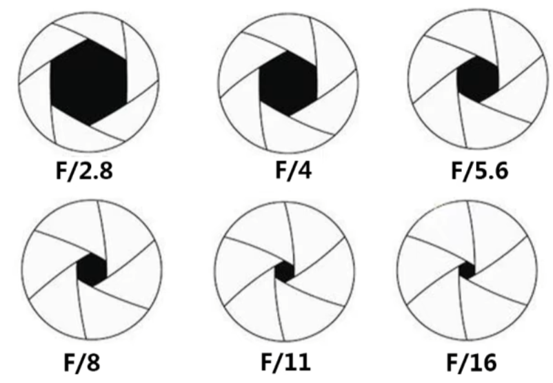 image-20241106185144286